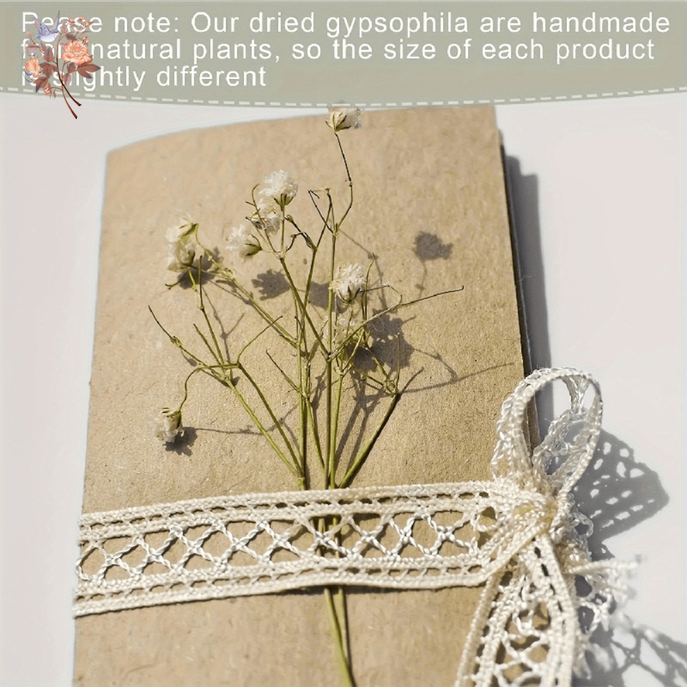 100 шт. миниатюрных сушеных цв – обзор и цена Embellish Craft